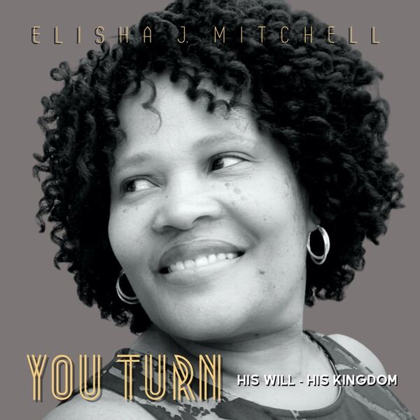 Cover art for You Turn His Will - His Kingdom